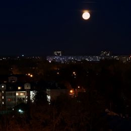 Moon