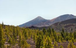 M for Mountain