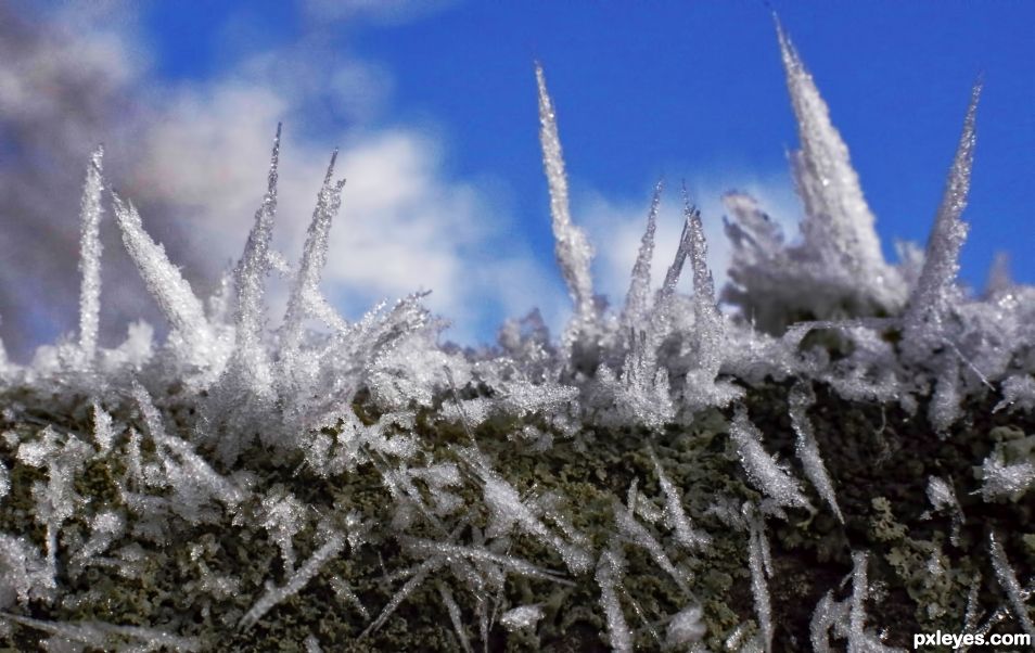 Hoar Frost