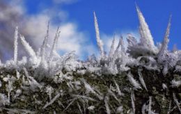 Hoar Frost