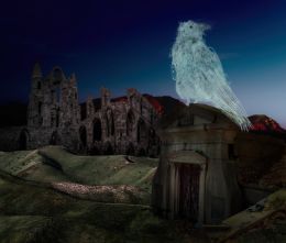 By the crypt stood a large sparkling water raven