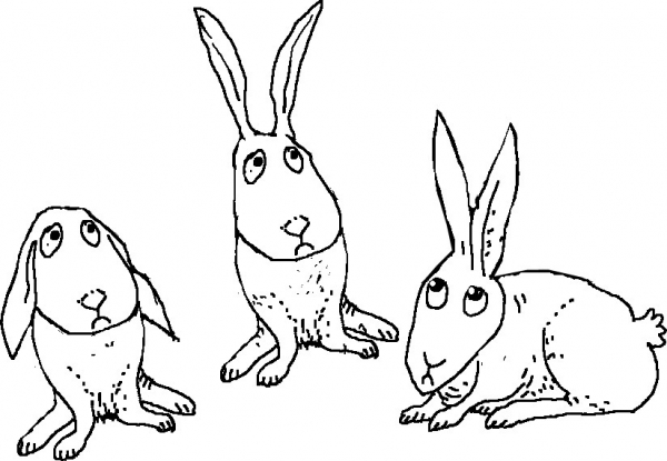 Creation of 1001 rabits: Step 3