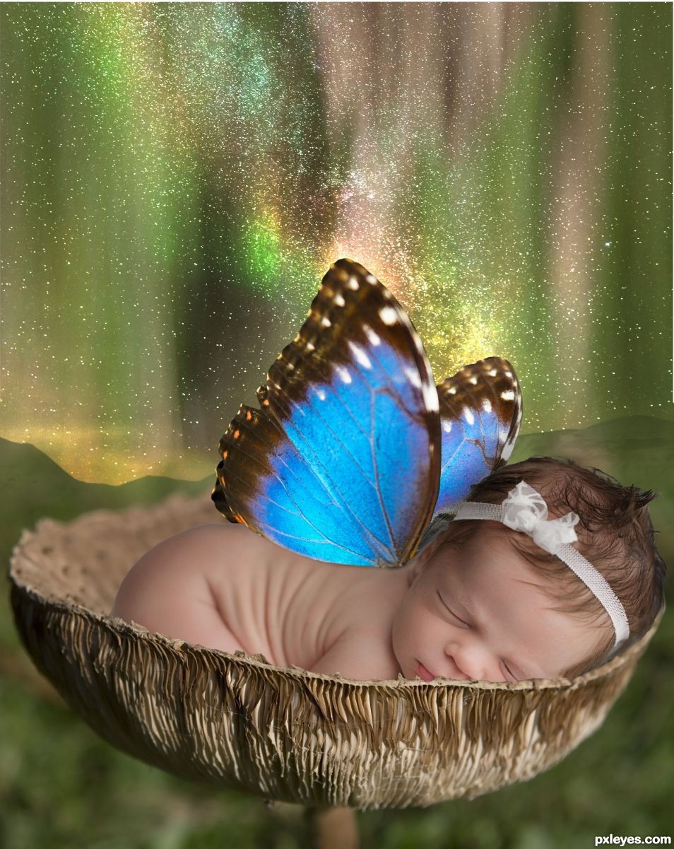 Butterfly Baby Aurora