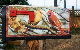 Air Mail
