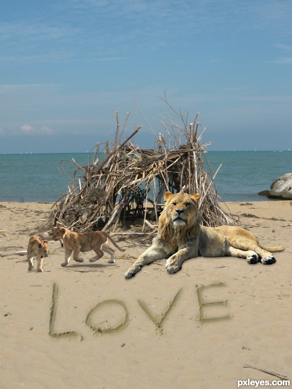 Lion-Love