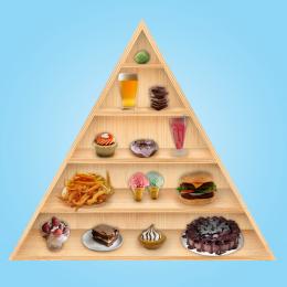 The Revised Food Pyramid