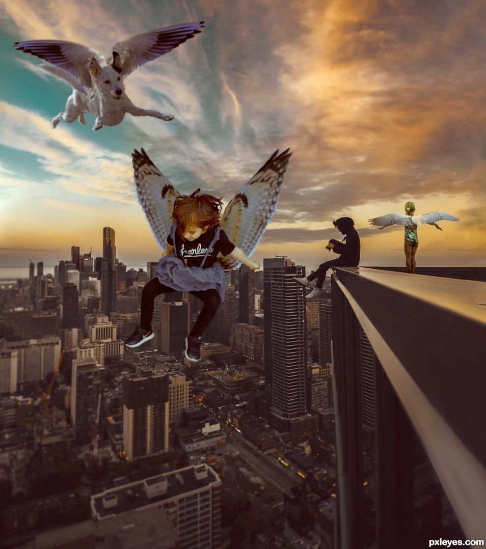 City flying
