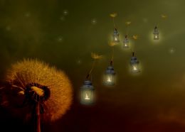 Travelling Lanterns