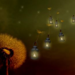 TravellingLanterns