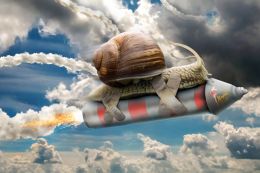 Memphis Belle Snail