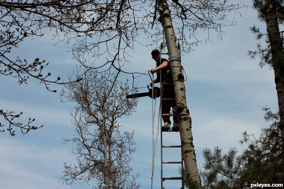 Man at work