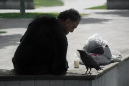 Man in black, to a bird in black 