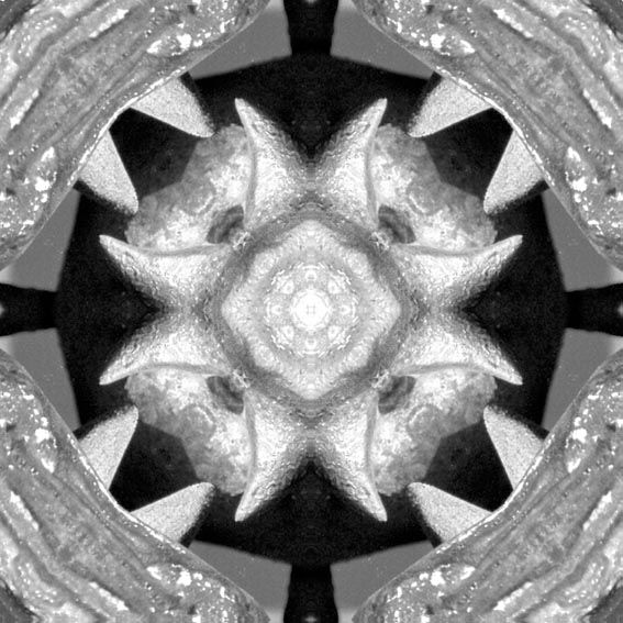 Creation of Fanged Mandala: Step 4