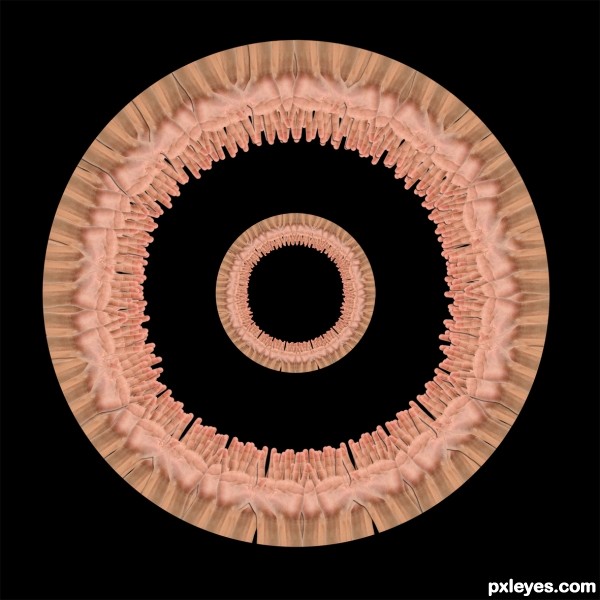 Creation of Hands Mandala: Step 2