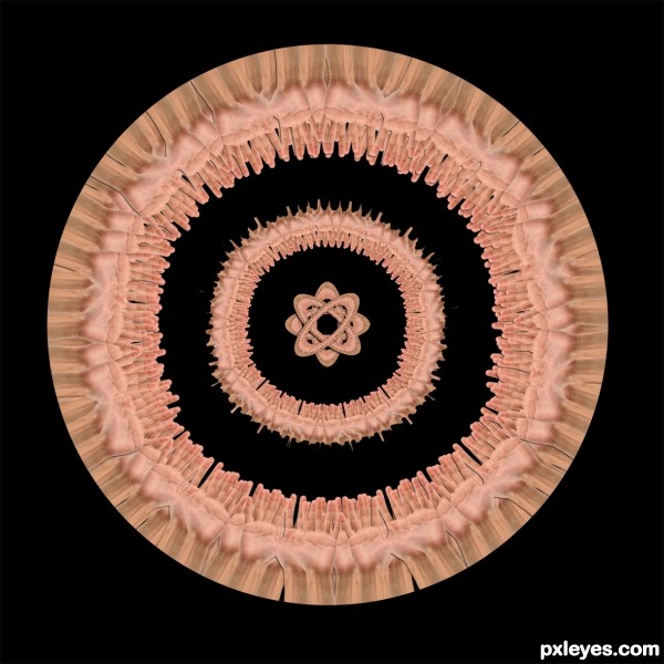 Creation of Hands Mandala: Step 5