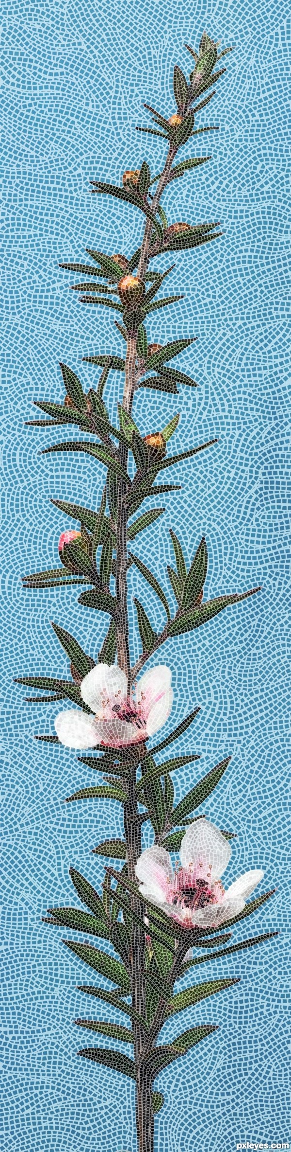 Creation of Manuka Mosaic: Final Result