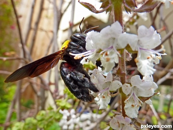 First fly march 10 