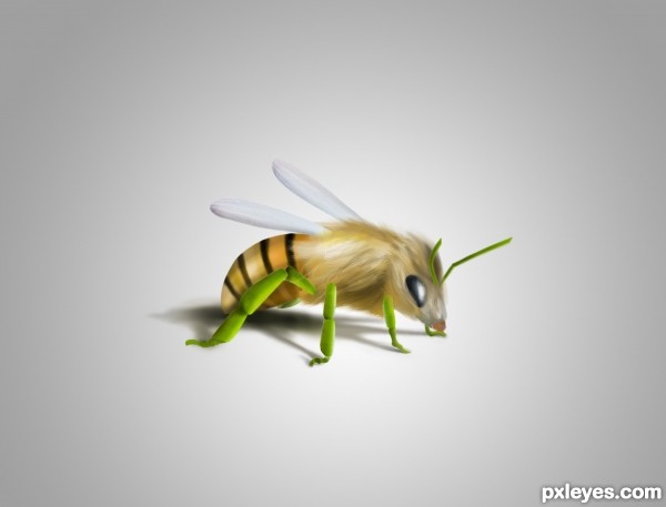 Bee