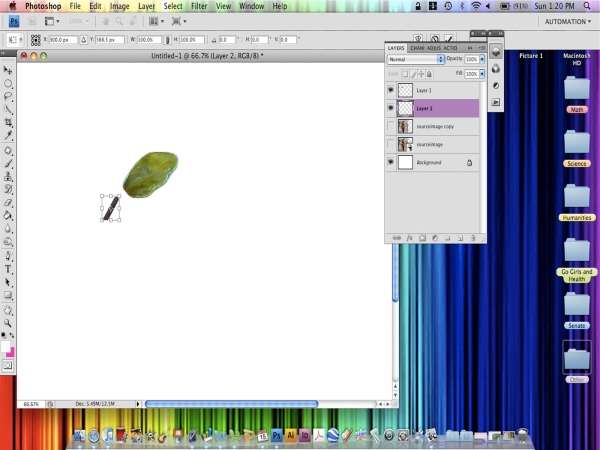 Creation of Rose : Step 3