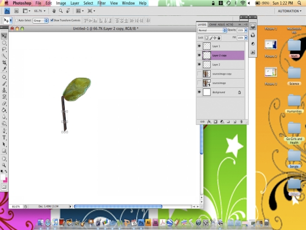 Creation of Rose : Step 5
