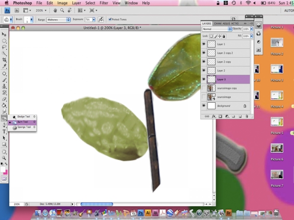 Creation of Rose : Step 10