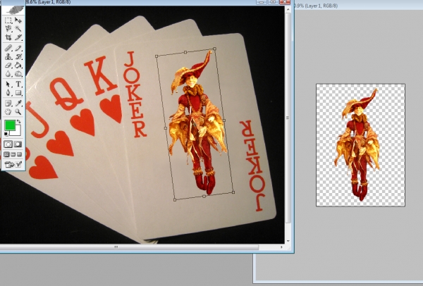 Creation of Wild Card: Step 15