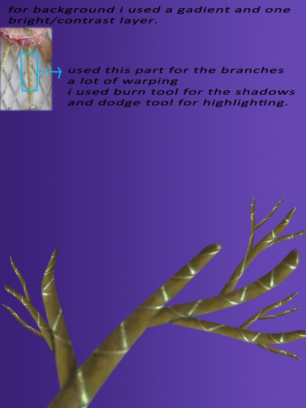 Creation of birdie...: Step 5