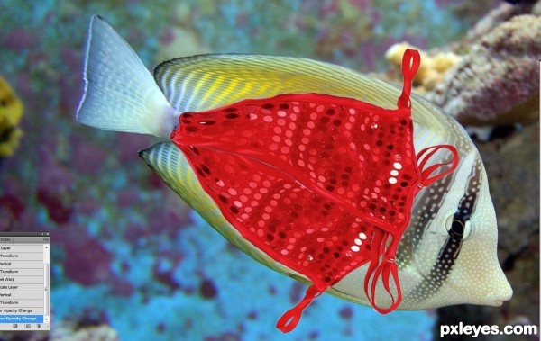 Creation of Bikini Fish: Step 1