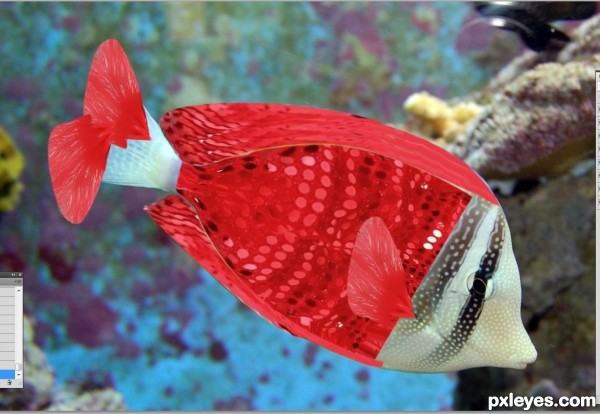 Creation of Bikini Fish: Step 4