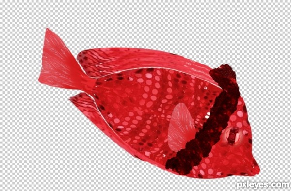 Creation of Bikini Fish: Step 7