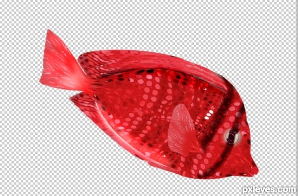 Creation of Bikini Fish: Step 8