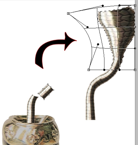 Creation of snake: Step 4