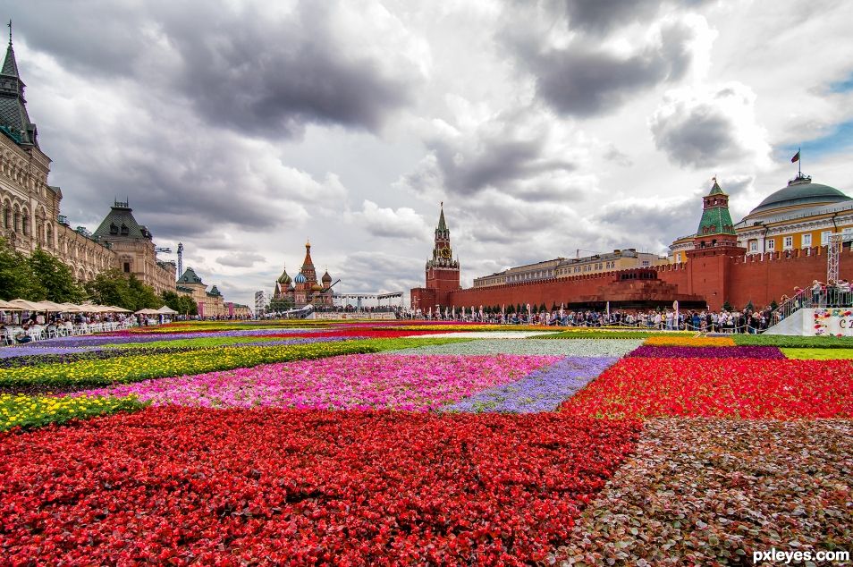Red Square in Flowers