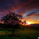 max color 2 photography contest