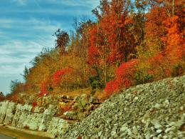 Fall Mountainside Picture