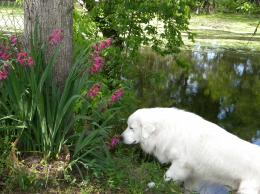 Stop to Smell the Flowers