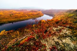 Autumn in the Arctic