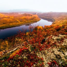 AutumnintheArctic