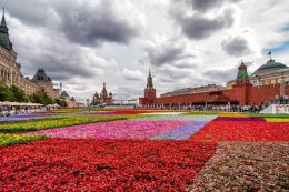 Red Square in Flowers