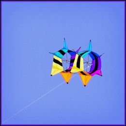 Flyin High