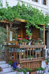 NatureBalcony