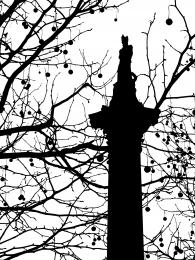 Nelsons column