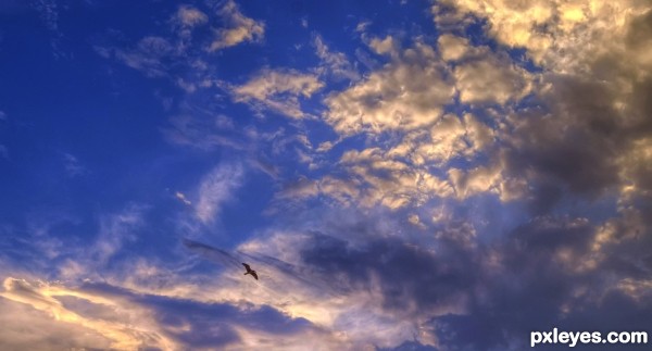 Creation of Sky king: Step 1