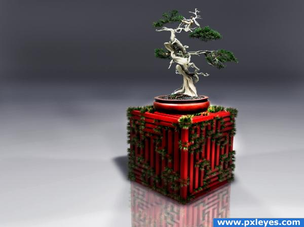 Mazes Bonsai