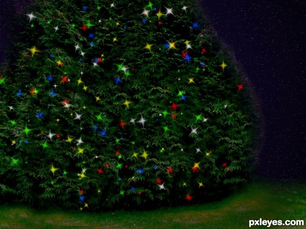 Creation of Christmas Tree: Step 2