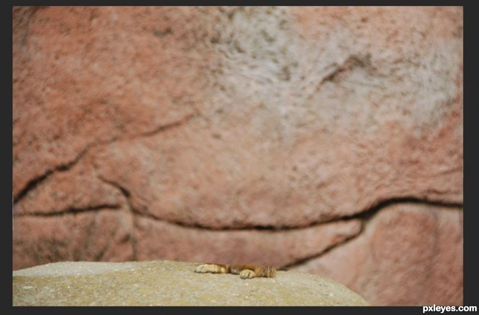 Creation of Meerkat Munch: Step 1