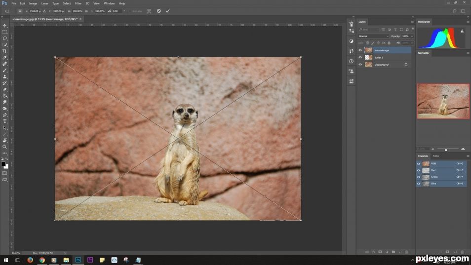 Creation of Mirrorkat: Step 9