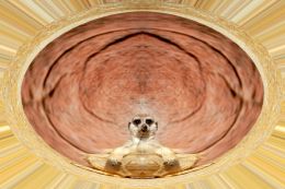 Mirrorkat