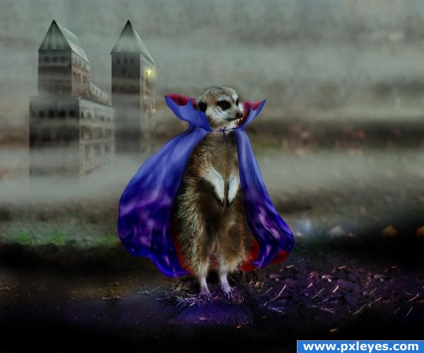 Count Meercula