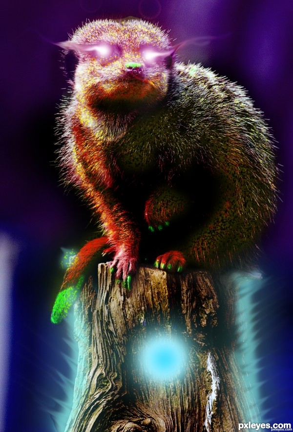 Creation of The All Knowing Meerkat: Step 6